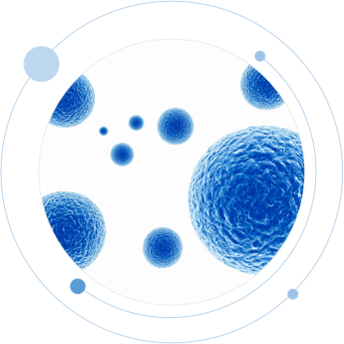 MSC机体修复疗法