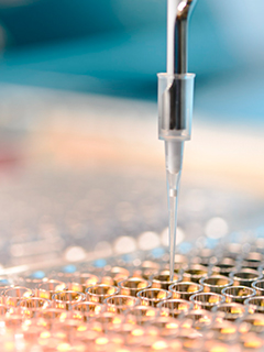 加强型免疫疗法