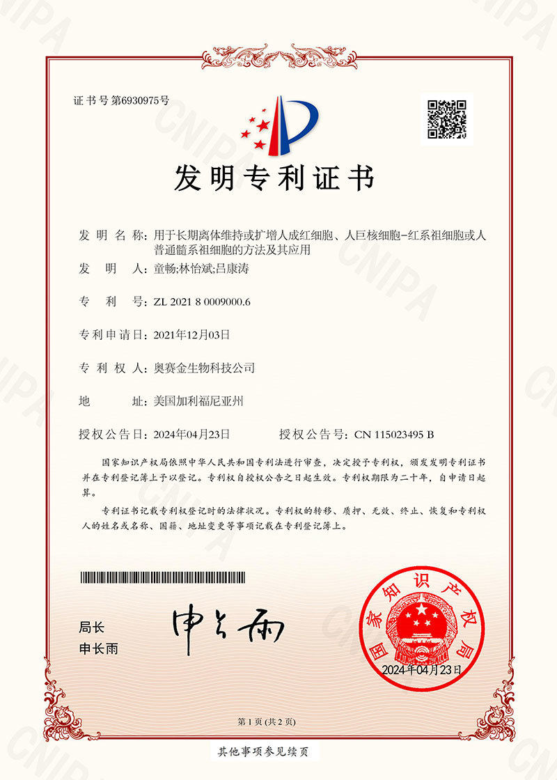 用于长期离体维持或扩增人成红细胞、人巨核细胞-红系祖细胞或人普通髓系祖细胞的方法及其应用
